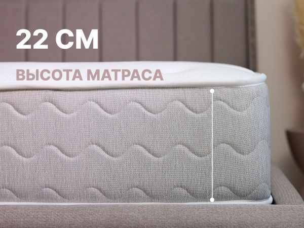 Матрас Dimax Bliss Choice + (Блисс&nbsp;Чойсе&nbsp;+)
